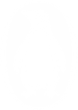 Penguin Books